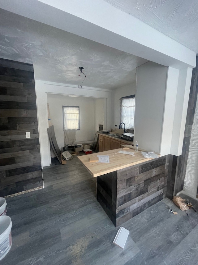 interior space with sink, hardwood / wood-style flooring, and wood walls