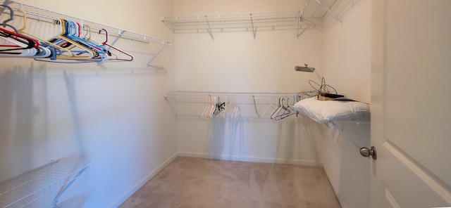 6713 Boulder Pointe Dr, Washington, MI 48094 - walk in closet with carpet
