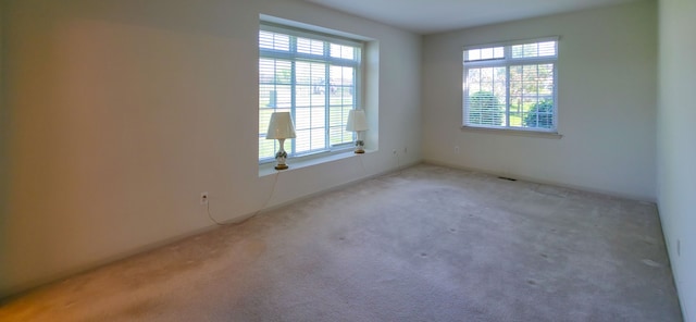 6713 Boulder Pointe Dr, Washington, MI 48094 - carpeted empty room featuring healthy amount of natural light