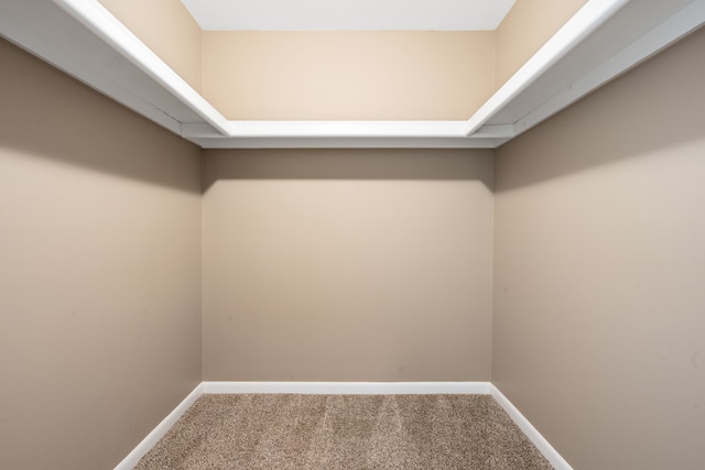 walk in closet featuring carpet floors