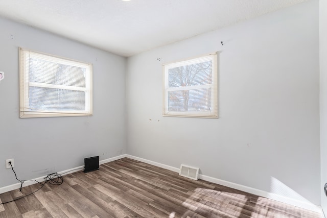 empty room featuring a wealth of natural light and wood-type flooring