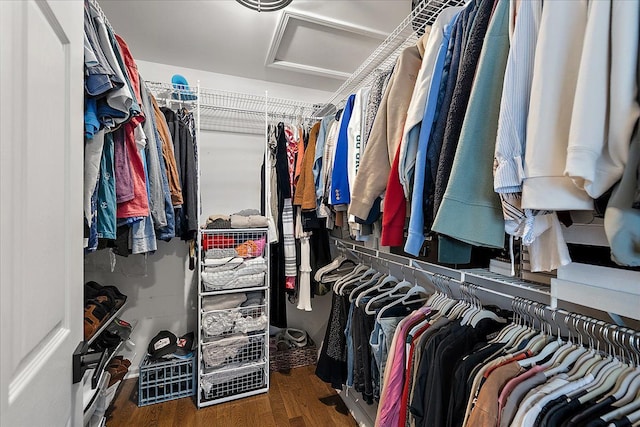 spacious closet with dark hardwood / wood-style floors