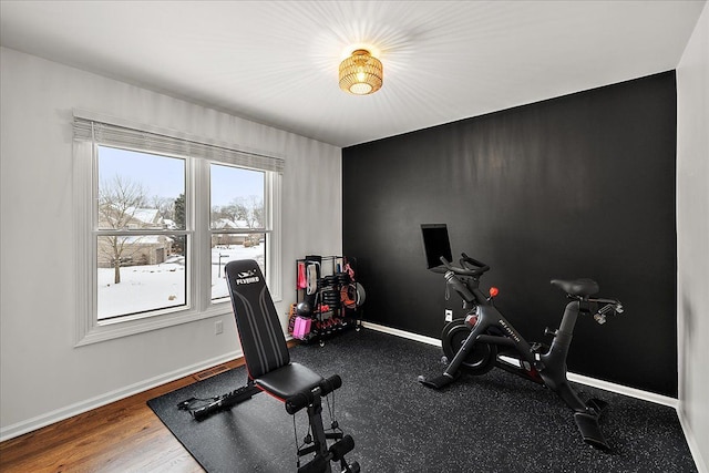 exercise area featuring wood-type flooring