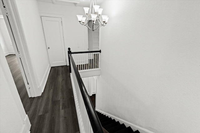 stairway with an inviting chandelier and hardwood / wood-style flooring