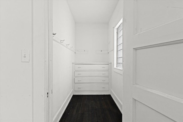 spacious closet with hardwood / wood-style flooring