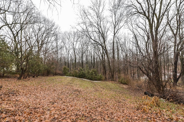 view of local wilderness