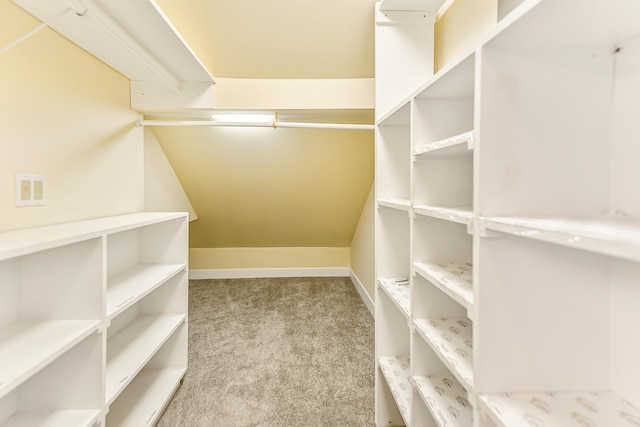 walk in closet with carpet floors