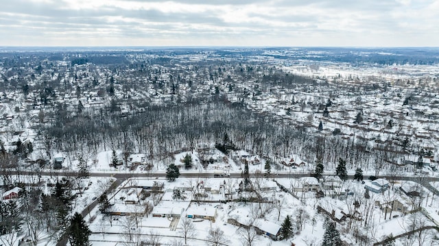 view of snowy aerial view