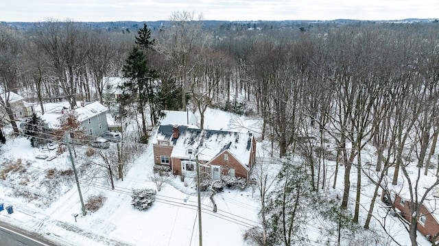 view of snowy aerial view