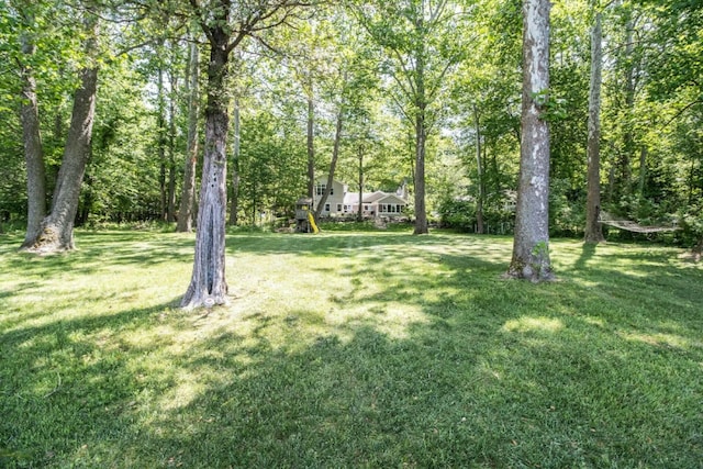 view of yard with a playground