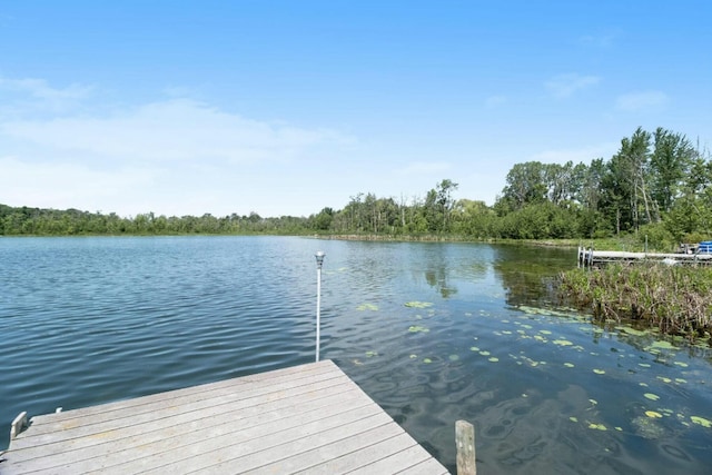 view of dock with a water view