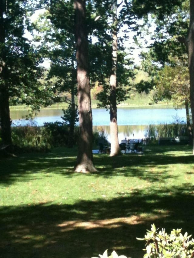 view of yard with a water view