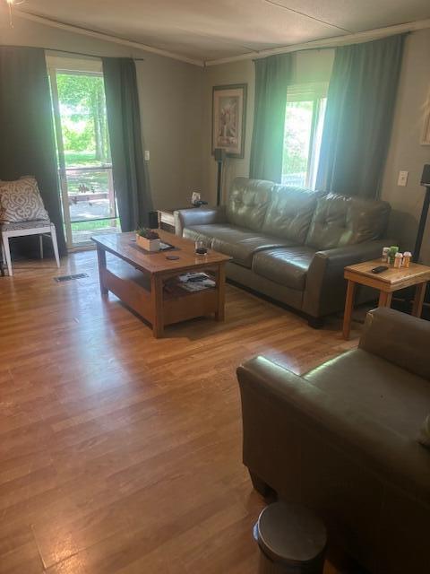 living room featuring crown molding, a healthy amount of sunlight, and hardwood / wood-style floors