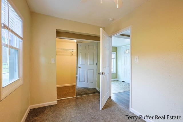 unfurnished bedroom featuring multiple windows, carpet floors, and a closet