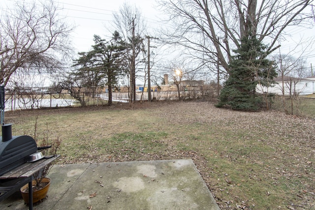 view of yard with a patio