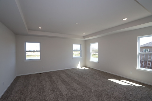 spare room with a raised ceiling, plenty of natural light, and carpet floors