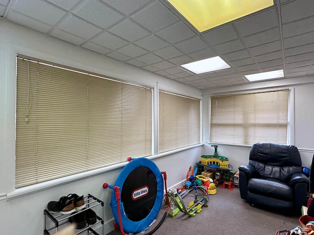 recreation room with carpet floors and a drop ceiling