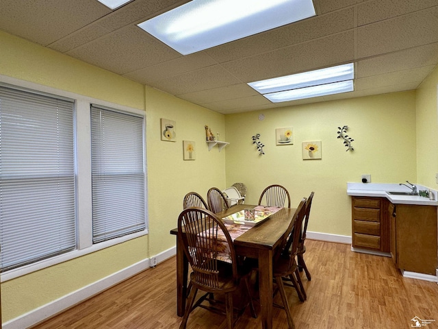 dining room with sink, a paneled ceiling, and light hardwood / wood-style floors