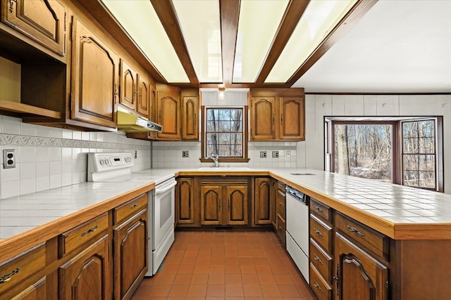 kitchen with sink, backsplash, electric range, tile counters, and stainless steel dishwasher