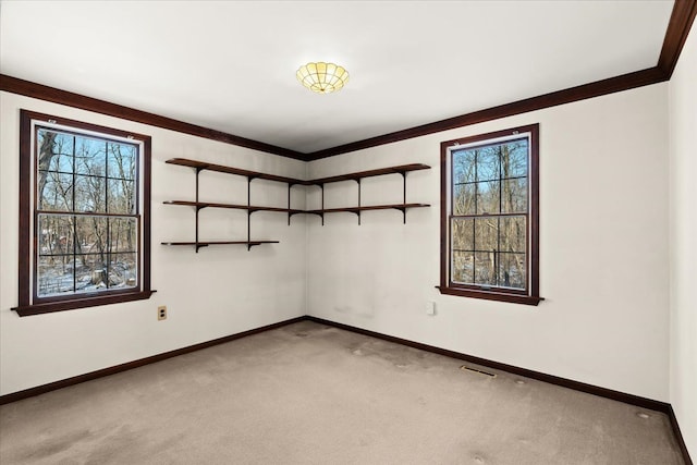 spare room featuring crown molding, a healthy amount of sunlight, and light carpet