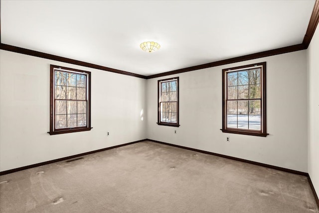 carpeted spare room featuring ornamental molding