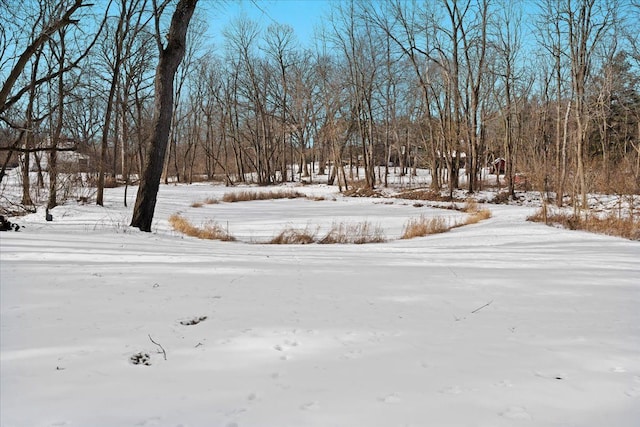 view of snowy yard