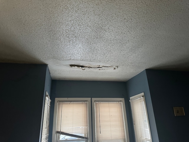 interior details featuring a textured ceiling