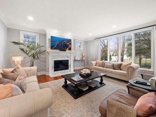 living room featuring light hardwood / wood-style flooring, ornamental molding, a premium fireplace, and a healthy amount of sunlight