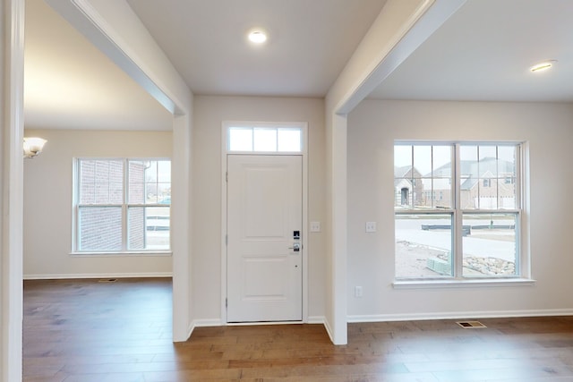 entrance foyer featuring wood-type flooring