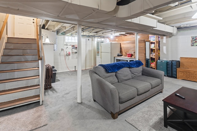 basement with white fridge