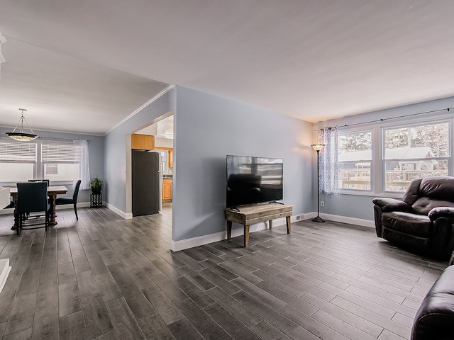 living room featuring dark hardwood / wood-style flooring and a wealth of natural light