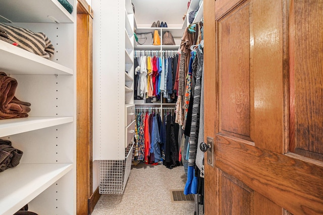 spacious closet with carpet