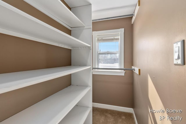 walk in closet with carpet floors