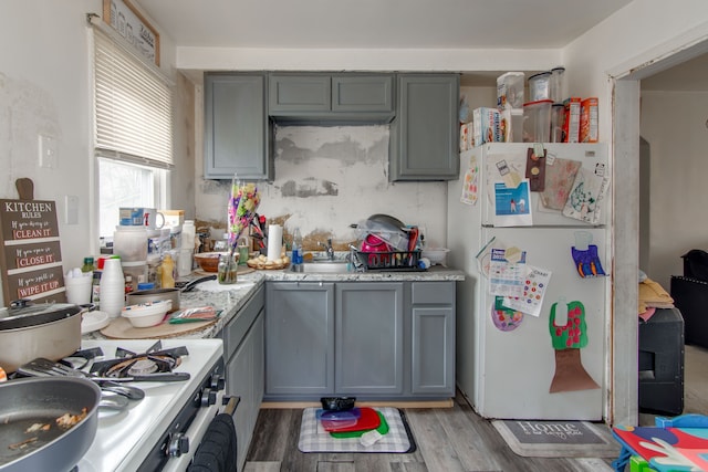 kitchen featuring gray cabinetry, gas range, light hardwood / wood-style flooring, and white refrigerator