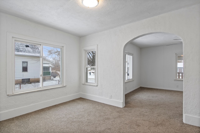 spare room with a healthy amount of sunlight, carpet floors, and a textured ceiling