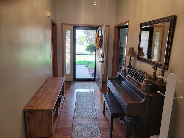 entrance foyer featuring dark hardwood / wood-style floors