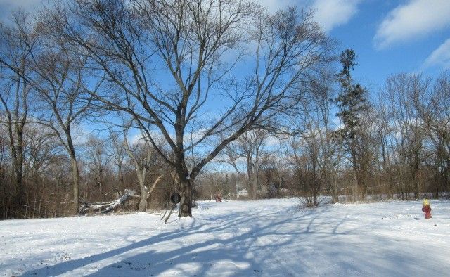 view of snowy yard