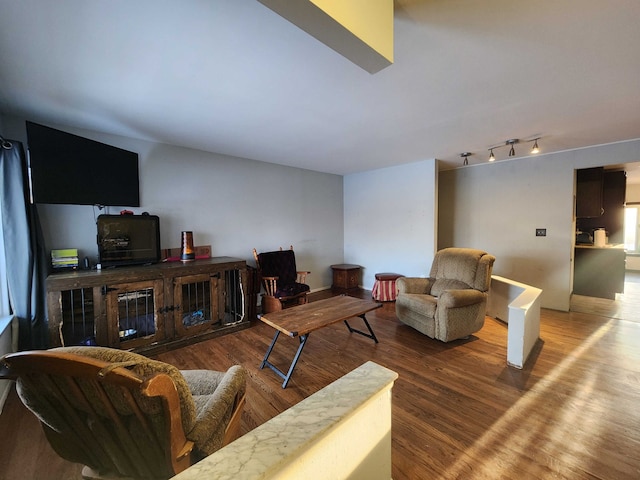 living room with hardwood / wood-style flooring