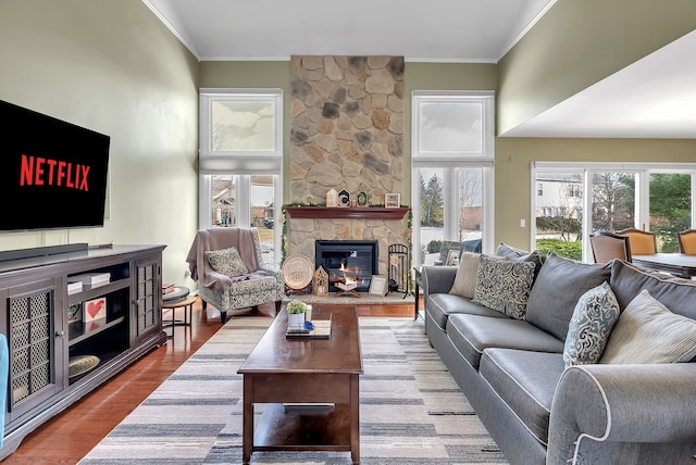 living room featuring ornamental molding, a wealth of natural light, hardwood / wood-style floors, and a fireplace