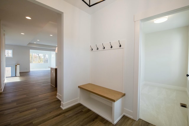 mudroom with dark hardwood / wood-style flooring