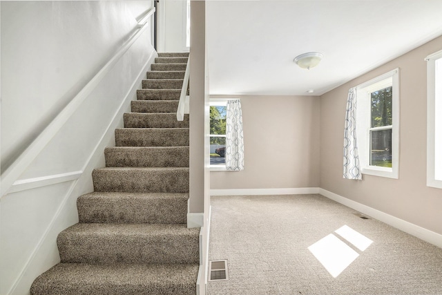 stairway with carpet floors