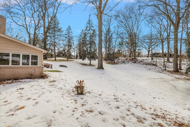 view of yard covered in snow