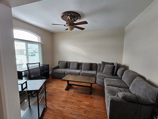 living room with wood-type flooring and ceiling fan