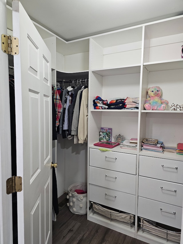 walk in closet featuring dark hardwood / wood-style floors