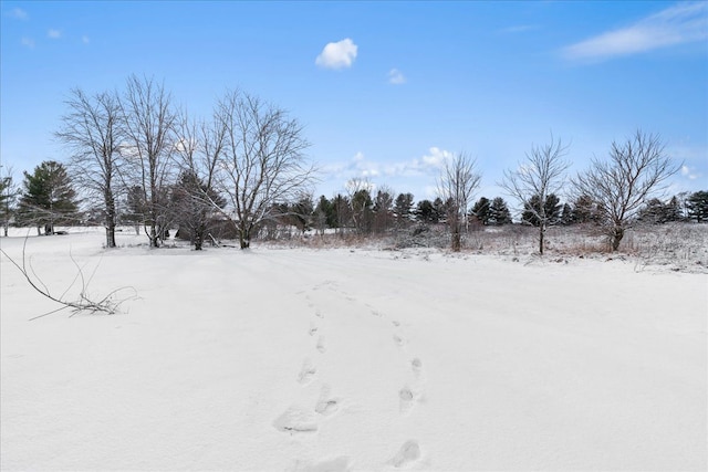 view of snowy yard