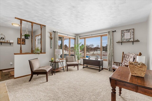 living area with carpet and a textured ceiling