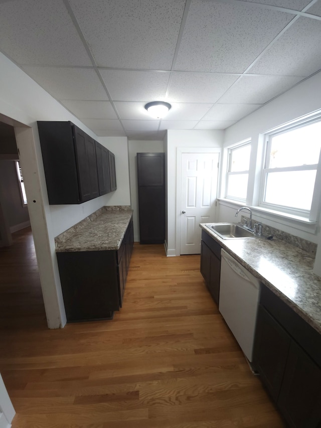 kitchen with sink, a drop ceiling, white dishwasher, and light hardwood / wood-style flooring