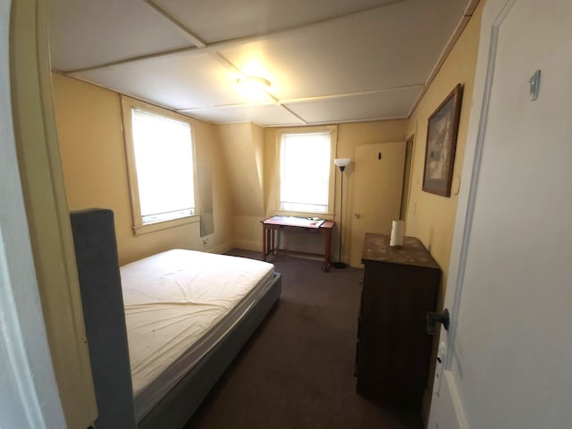 bedroom featuring dark carpet