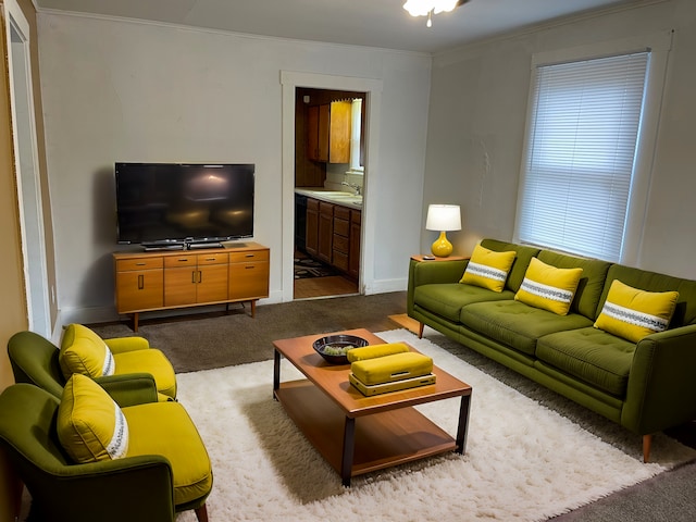 carpeted living room with ornamental molding and sink