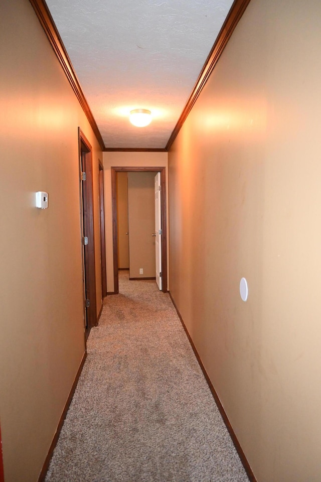 corridor featuring light colored carpet and ornamental molding